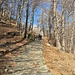 Mulattiera tratto Alpe Orlo - Alpe Cermine