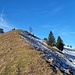 Weglos über den Laubberg statt im Schnee drum herum