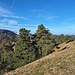 Auf dem Laubbergkamm
