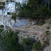 Landschaftlich .......