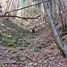 la valle si sta "aprendo", siamo in fondo alla Val Piombino