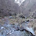 Ci addentriamo seguendo una debole traccia a sinistra del torrente