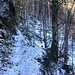 Querung