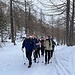 In cammino nel bosco