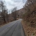 salita sulla strada asfaltata, verso il Sighignola