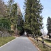 salita sulla strada asfaltata, verso il Sighignola