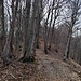 sulla pista n° 6
