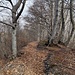 sulla pista n° 6
