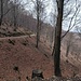 sul sentiero di raccordo dopo la pista n° 4