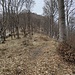 sulla pista n° 1