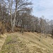 sul sentiero di raccordo dopo la pista n° 6