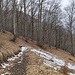 sulla pista n° 4