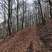 sul sentiero di raccordo dopo la pista n° 4