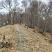 sulla pista n° 4