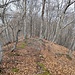 sulla pista n° 4