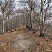 sulla pista n° 6