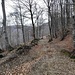 sul sentiero di raccordo dopo la pista n° 4