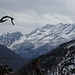 Veduta verso la media valle dell'Orco.