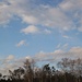 Baum-Skyline