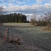 "On the Road" to upcoming Viewpoint Musbacher Ried II