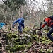 ein langer, wegloser Aufstieg entlang der Westabbrüche der Wissflue setzt nun ein
