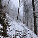 wieder düster-grau der Rückmarsch ...