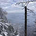 Tiefblick zum Horwer Seebecken