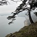 ... mit erstem Ausblick Richtung Niderstad