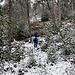 durch die Botanik - und leichter Schneeauflage - hoch ...