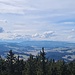 Alpstein und ganz rechts der Bodensee 