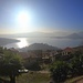 Monteggia