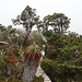 Tarn Shelf Track