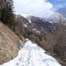 Schneeschuhtrail auf Alpstrasse