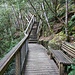 Treppen vom Russell Fall zum Horseshoe Fall