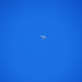 Flieger oder Drohne?