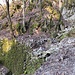 il percorso dopo Blevio, sui resti dell'antica strada