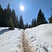 Sonne und Schnee!