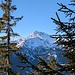 Das alles beherrschende Gaishorn (2247 m), höchster Berg der Tannheimer Berge.