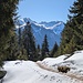 Durch den Schnee zurück ins Tal.