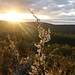 Sonnenuntergang