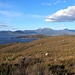 Am Red Knoll Lookout hat man einen schönen Blick zum Mount Anne.