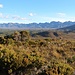 Blick zur wilden Western Arthur Range, diese kann in einer 5-7-tägigen Tour überschritten werden.