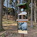 Unterwegs zwischen Pohovka und Jetřichovice - Im "Pfeiferův lesík" ("Pfeifers Wald").