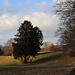 erste Sonnenstrahlen