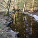 und führt zu einem Bach