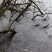 Eiszeit