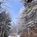 ... und dem Blau entgegenwandern