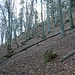 Gratkante Nordostgrat bei der Querung im Dürnbachwald