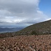 Blick über Eukalyptus zum Gipfel bei der Anfahrt