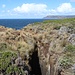 Maingon Blowhole - bläst gerade leider nix.